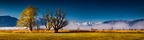 CL-L9-20220428-RUPO7955-Pano