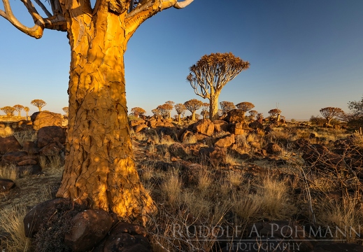 Kalahari -Keetmansshop - Namibia