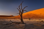 Sossusvlei - Namibia