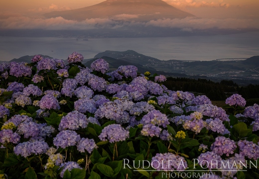 Faial