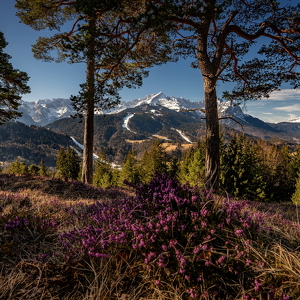 Wank-Eckenhütte 2025