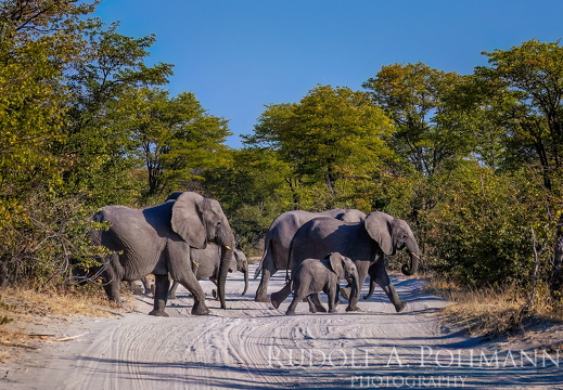 Namibia-Botswand 2025