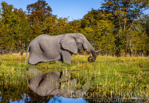 Namibia-Botswand 2025